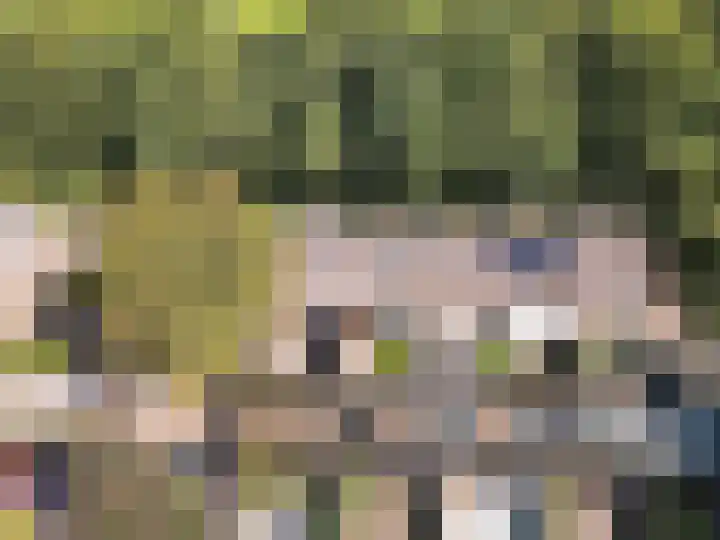 Witwatersrand 12 Ermelo thumbnail 43