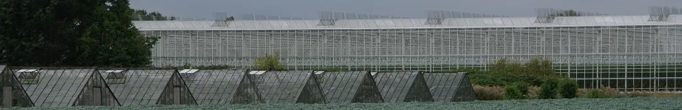 Photo d'équipe de WLTM