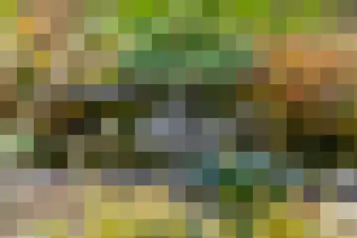 Woerd 27 Kerk-Avezaath thumbnail 23