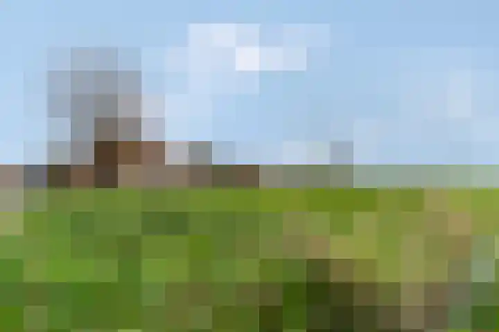 Woerd 27 Kerk-Avezaath thumbnail 31