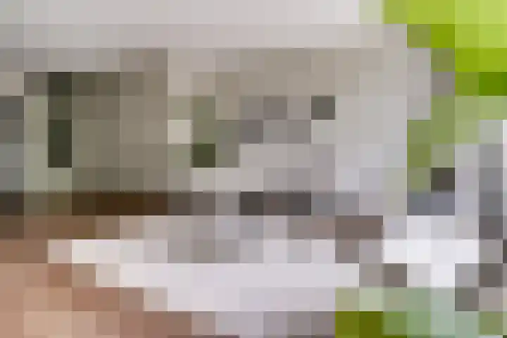 Woerdenpad 4 Arnhem thumbnail 15