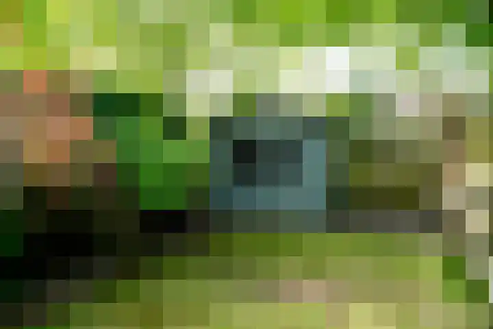 Woerdenpad 4 Arnhem thumbnail 23