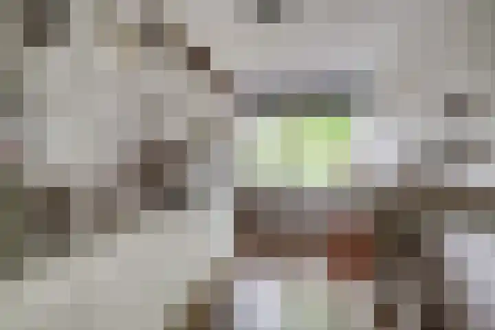 Woerdenpad 4 Arnhem thumbnail 25