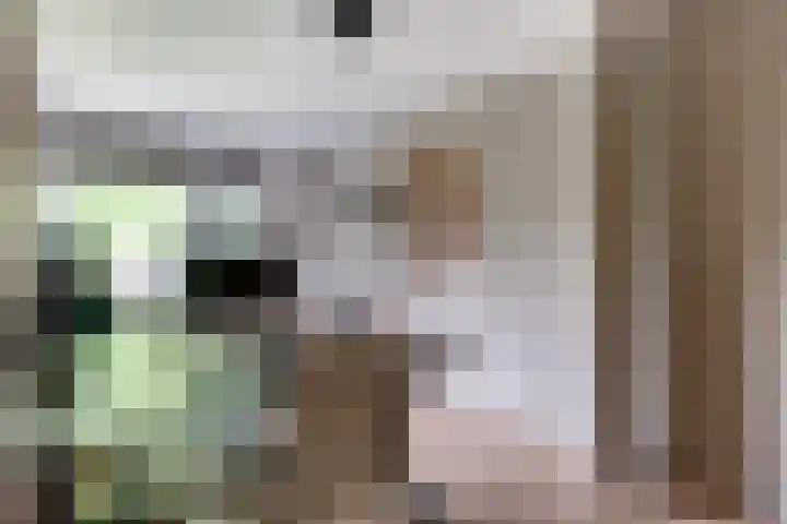 Woerdenpad 4 Arnhem thumbnail 30