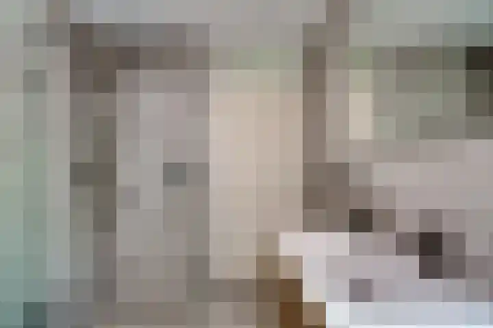 Woerdenpad 4 Arnhem thumbnail 33