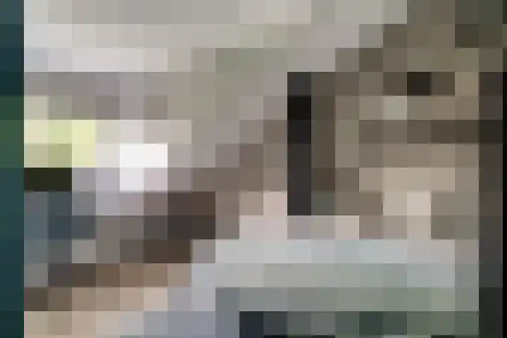 Woerdenpad 4 Arnhem thumbnail 36