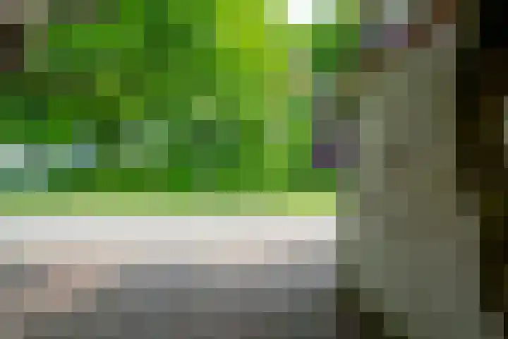 Woerdenpad 4 Arnhem thumbnail 7