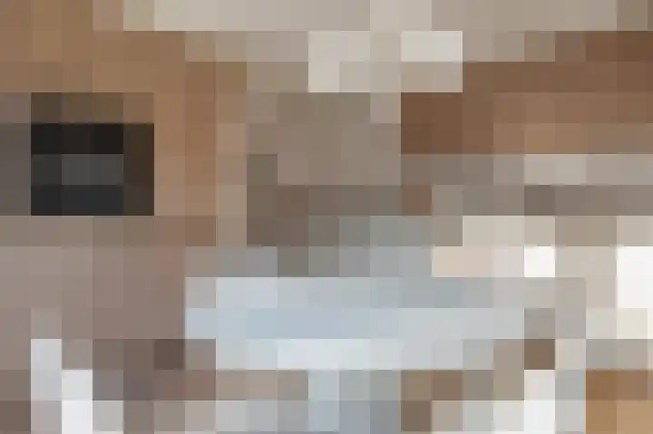 Woerdes 101 Assen thumbnail 23