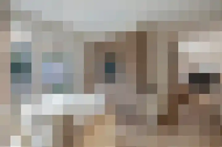 Woerdes 101 Assen thumbnail 24