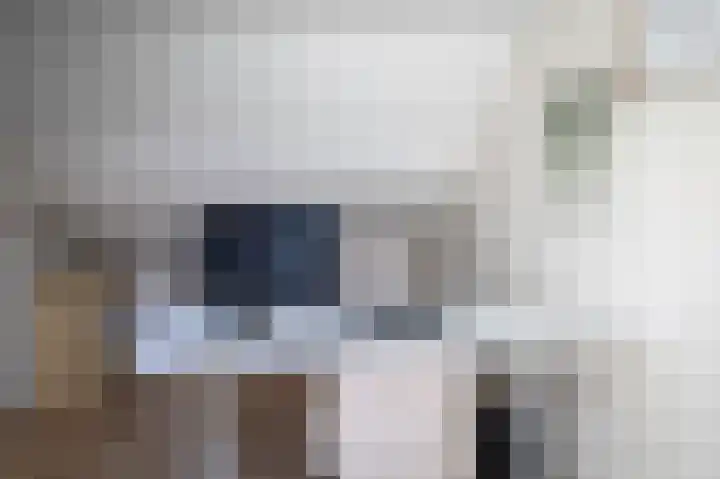 Woerdes 101 Assen thumbnail 34