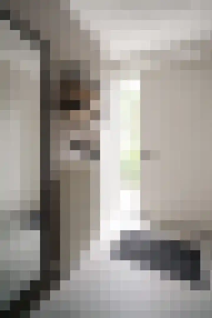 Woerdstraat 13 Duiven thumbnail 10