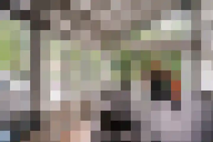 Woerdstraat 13 Duiven thumbnail 14