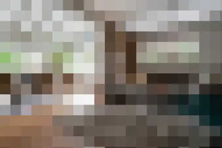Woerdstraat 13 Duiven thumbnail 17