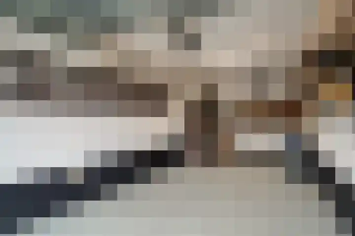Woerdstraat 13 Duiven thumbnail 30