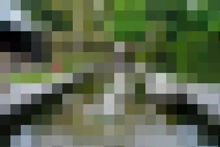 Woerdstraat 13 Duiven thumbnail 39