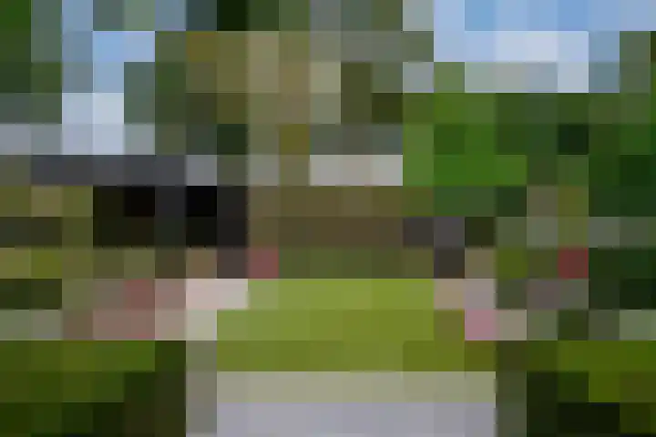 Woerdstraat 13 Duiven thumbnail 42