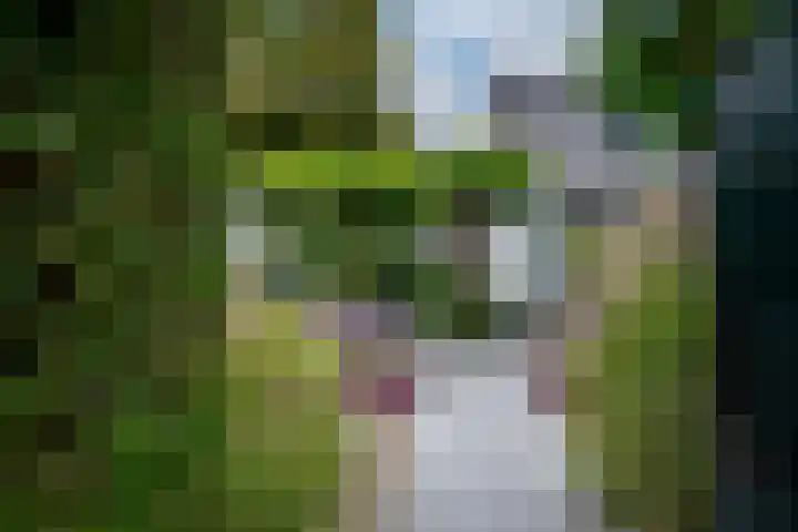 Woerdstraat 13 Duiven thumbnail 44