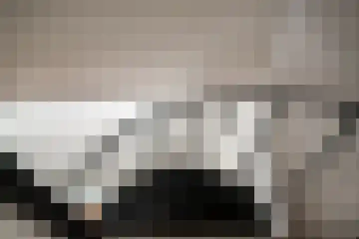 Woerdstraat 13 Duiven thumbnail 60