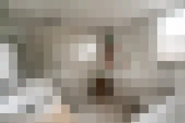 Woerdstraat 13 Duiven thumbnail 64