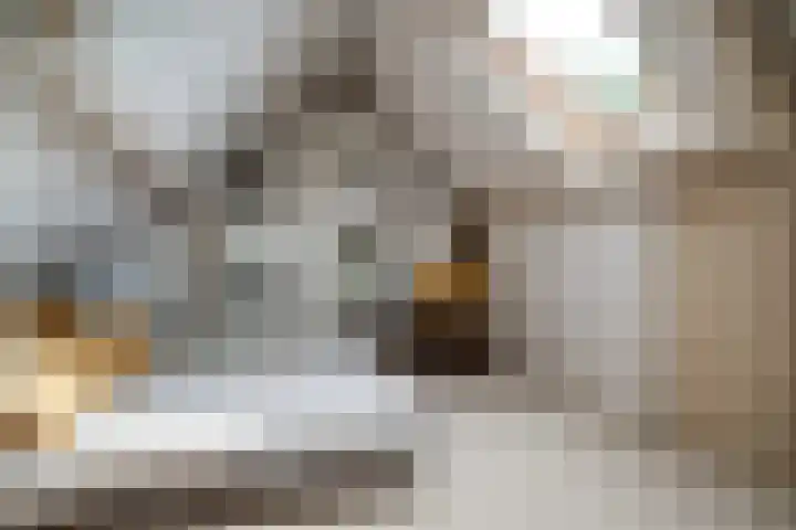 Woerdstraat 13 Duiven thumbnail 79