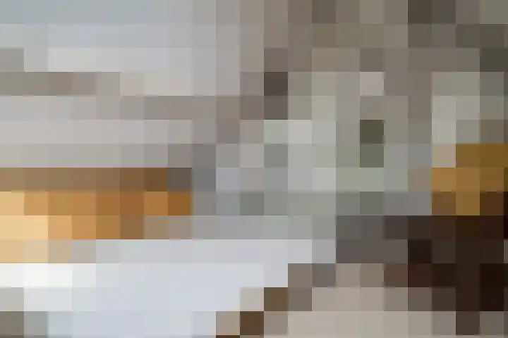 Woerdstraat 13 Duiven thumbnail 81