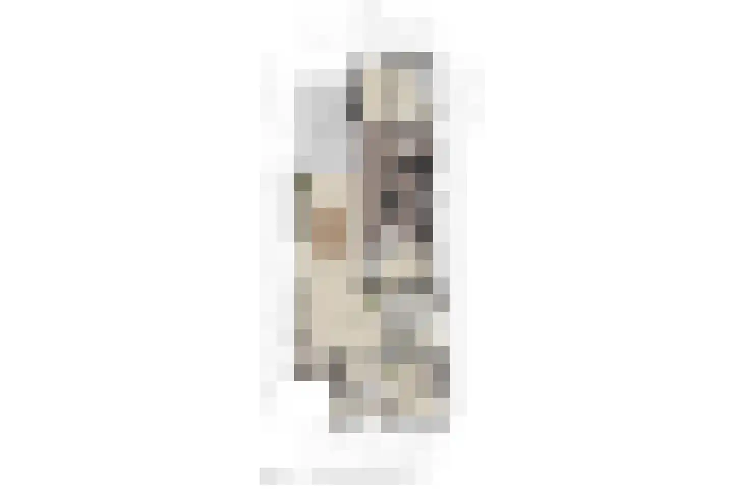 Woerdstraat 34 Duiven thumbnail 101