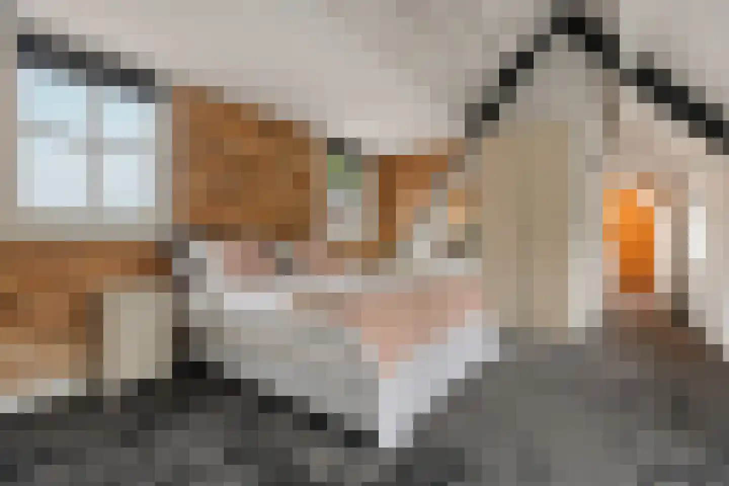 Woerdstraat 34 Duiven thumbnail 32