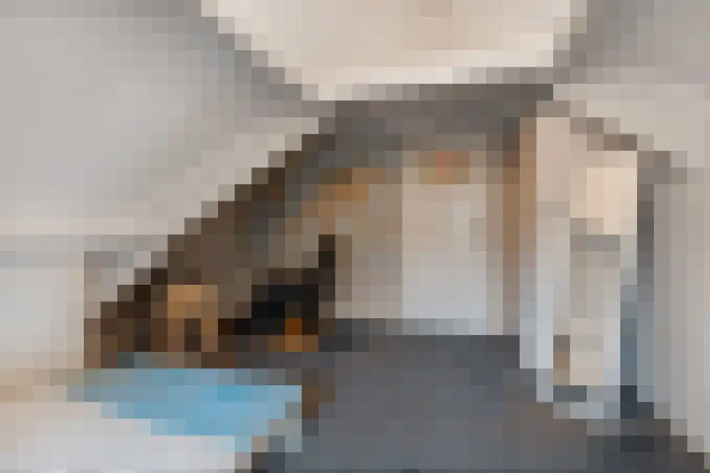 Woerdstraat 34 Duiven thumbnail 39