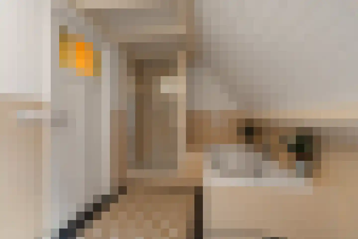 Woerdstraat 34 Duiven thumbnail 47