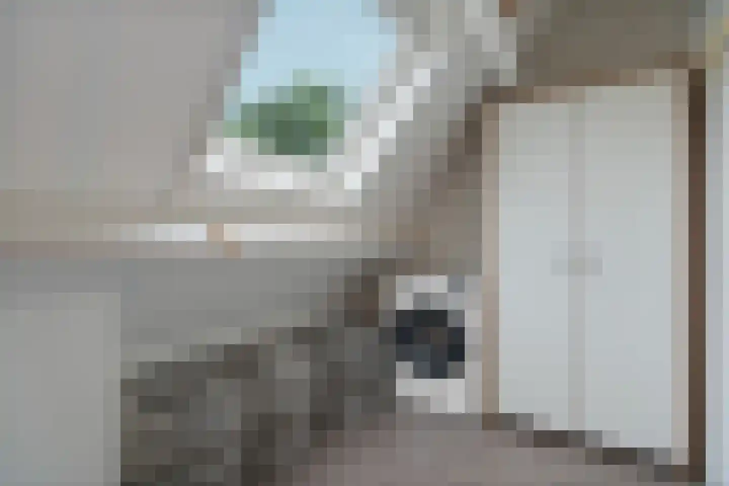Woerdstraat 34 Duiven thumbnail 49