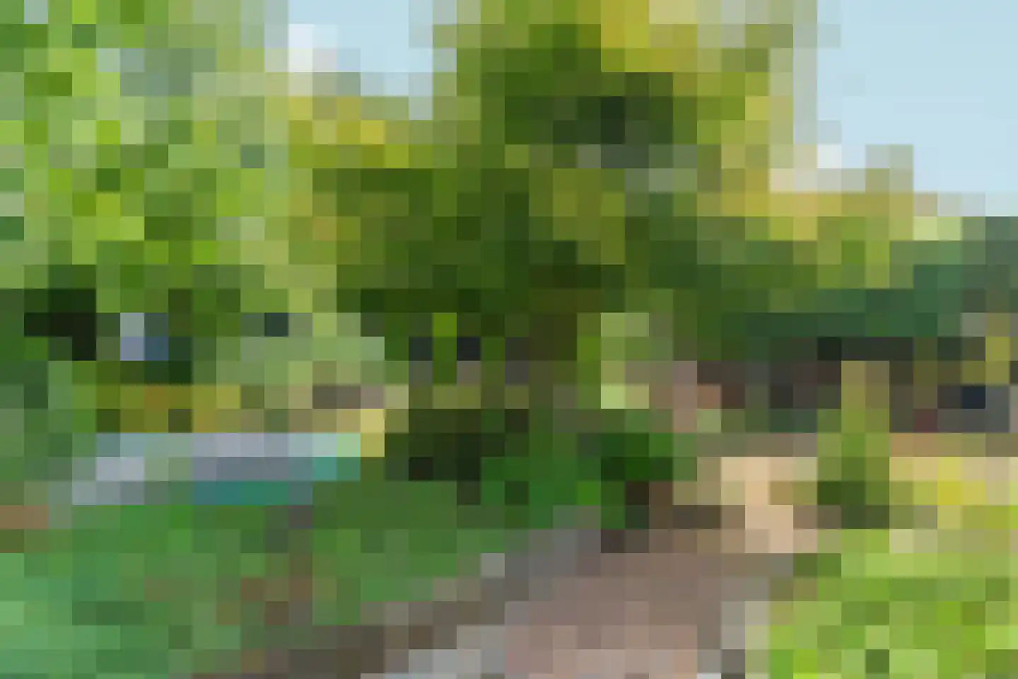Woerdstraat 34 Duiven thumbnail 54