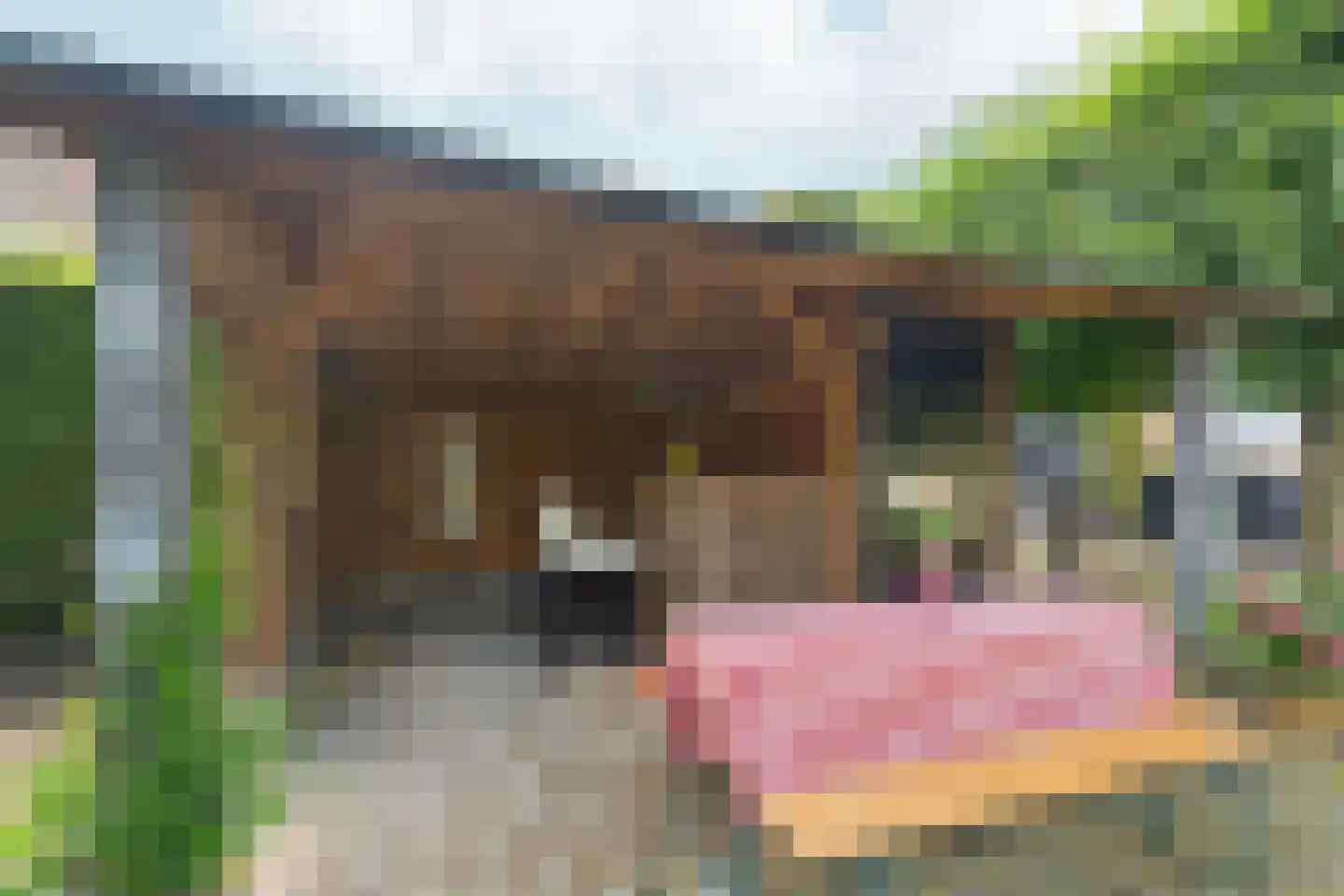 Woerdstraat 34 Duiven thumbnail 56