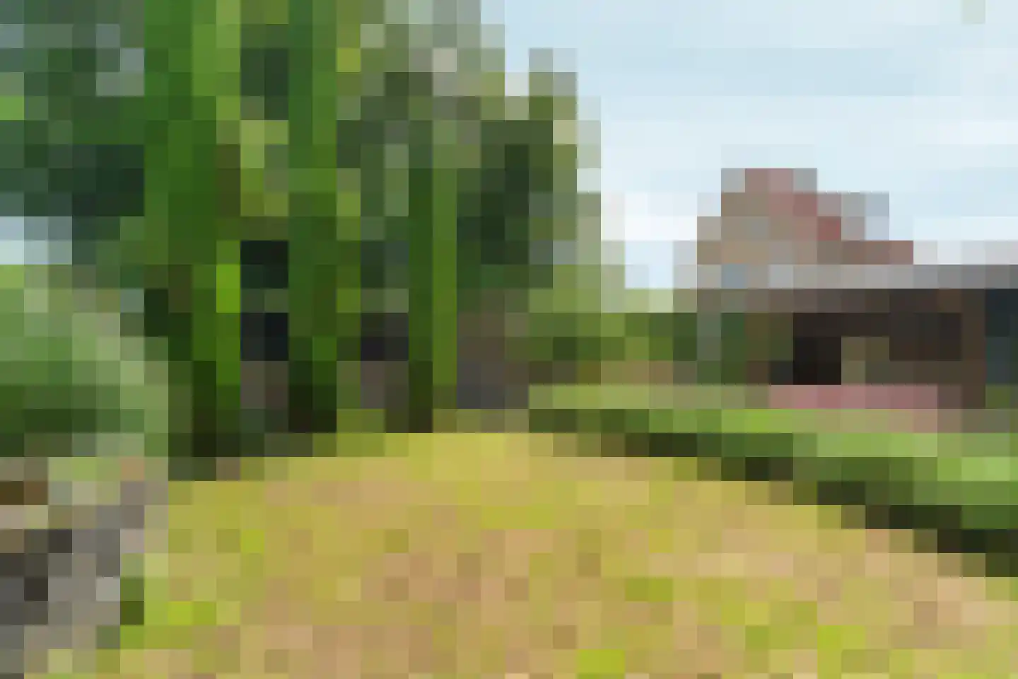 Woerdstraat 34 Duiven thumbnail 58