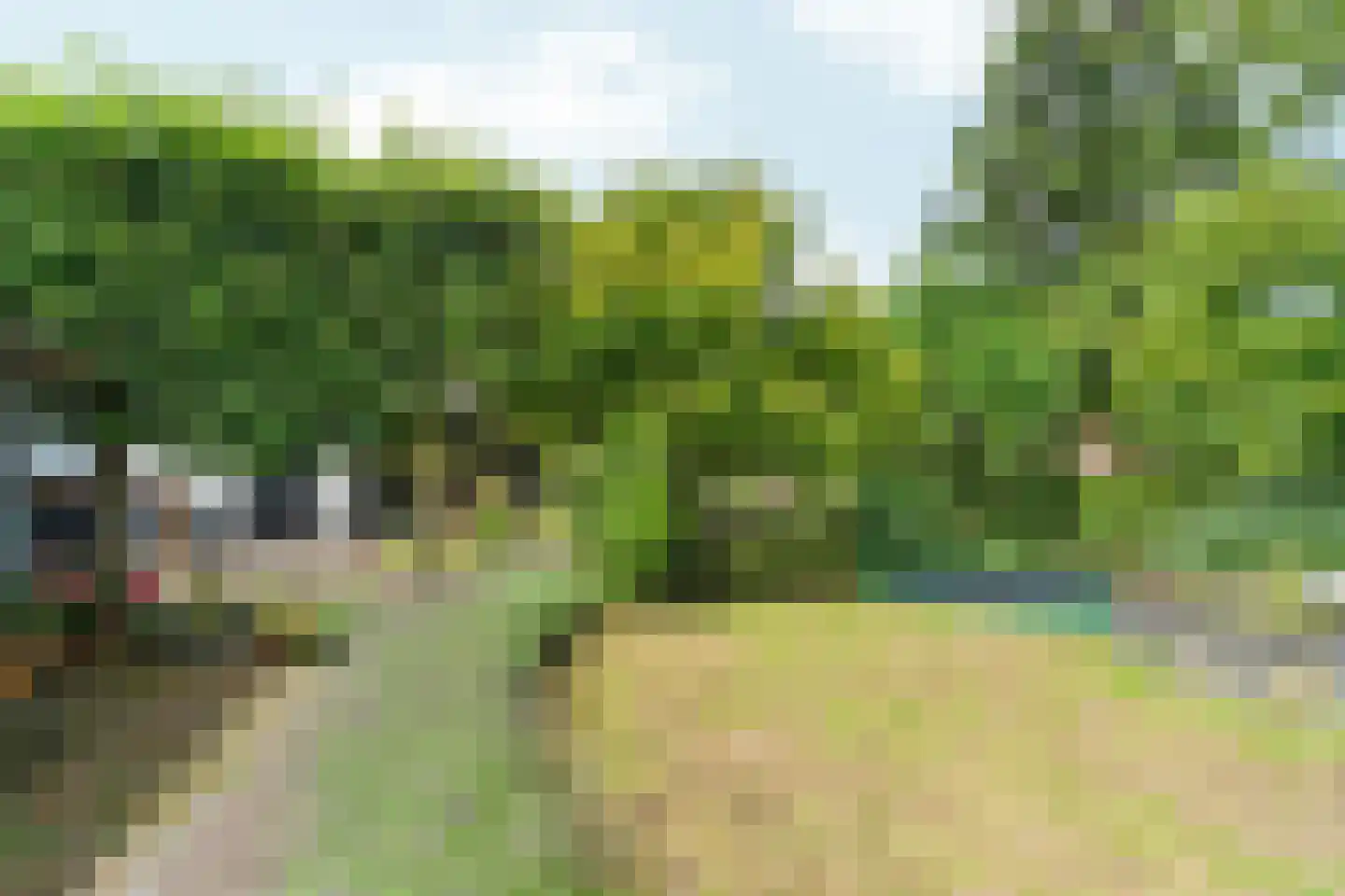Woerdstraat 34 Duiven thumbnail 62