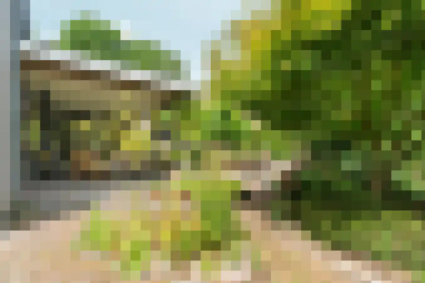 Woerdstraat 34 Duiven thumbnail 65