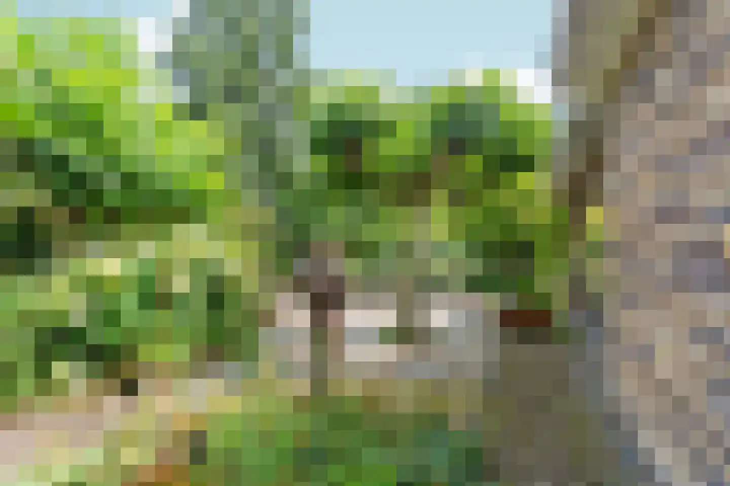 Woerdstraat 34 Duiven thumbnail 71