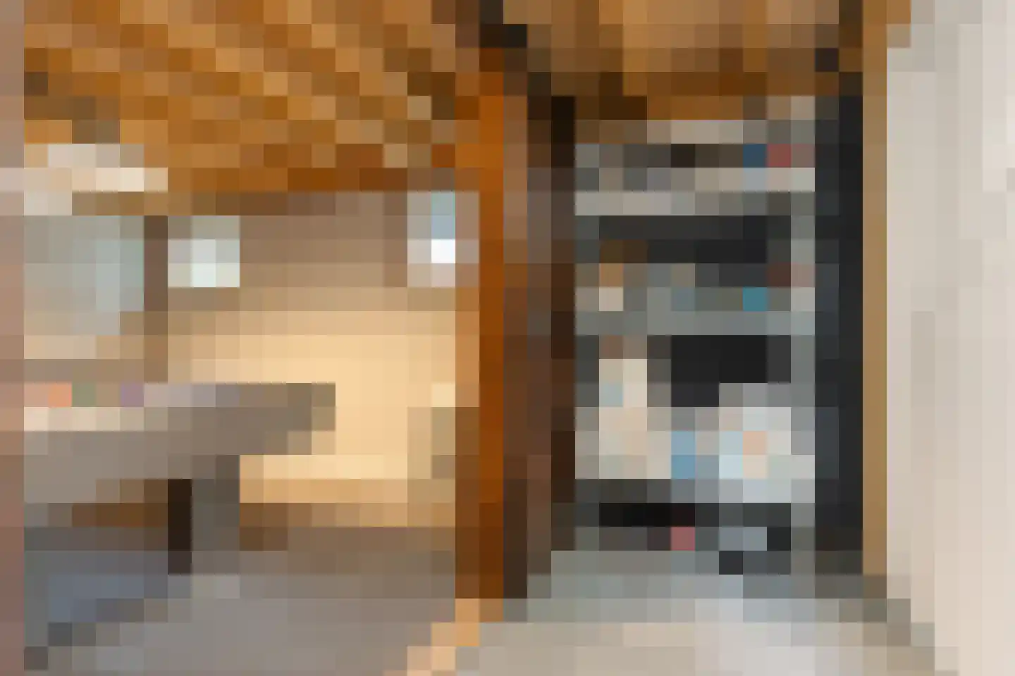 Woerdstraat 34 Duiven thumbnail 74