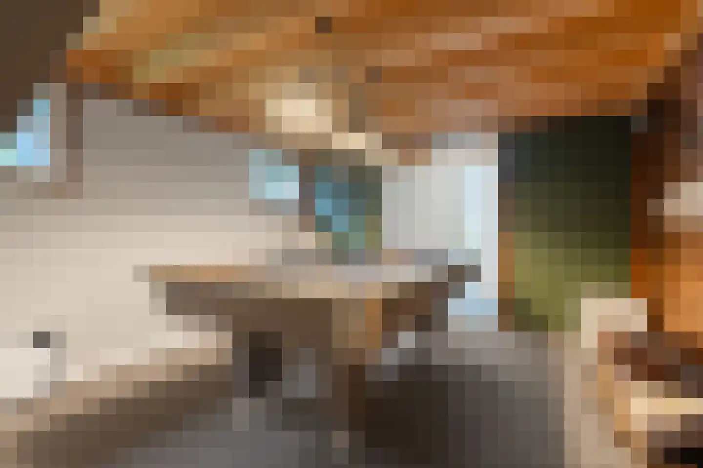 Woerdstraat 34 Duiven thumbnail 76