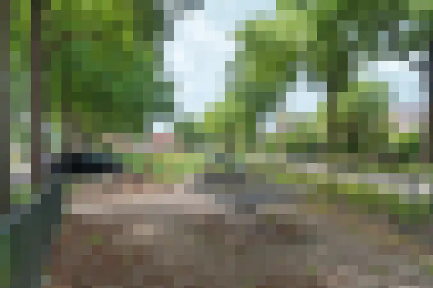 Woerdstraat 34 Duiven thumbnail 95