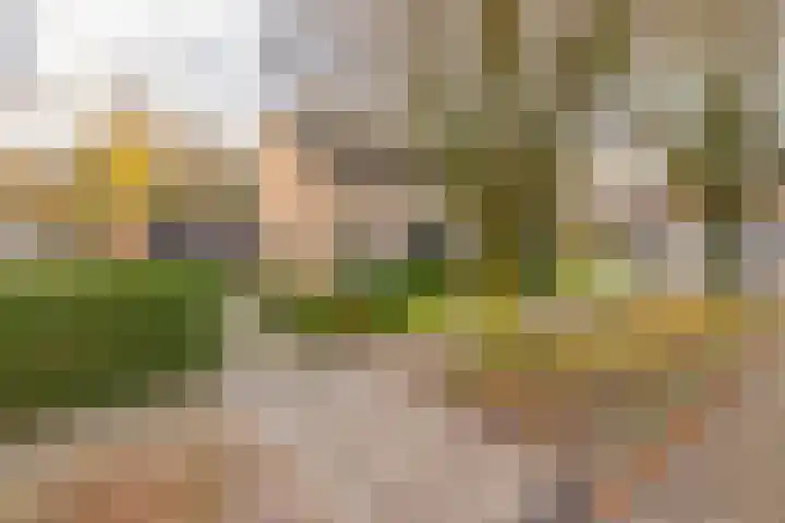 Woeringenlaan 37 in Waalwijk