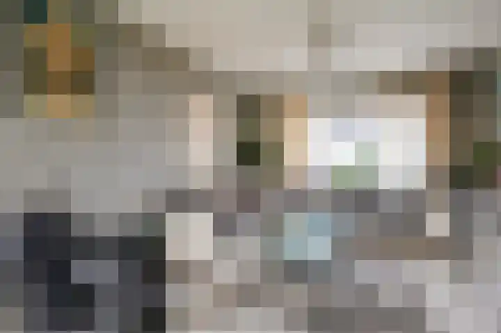 Woeringenstraat 12 Stein thumbnail 10