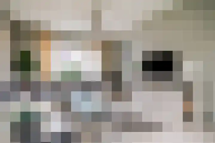 Woeringenstraat 12 Stein thumbnail 11