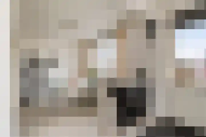 Woeringenstraat 12 Stein thumbnail 14