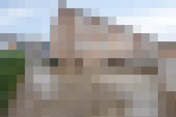 Woeringenstraat 12 Stein thumbnail 18