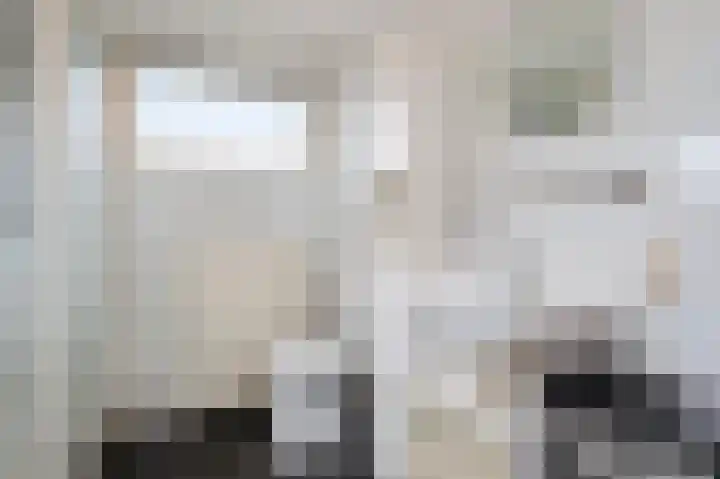 Woeringenstraat 12 Stein thumbnail 21