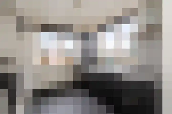 Woeringenstraat 12 Stein foto 3