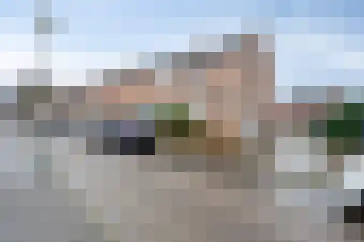 Woeringenstraat 12 Stein thumbnail 6