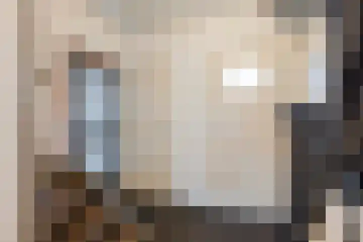 Woeringenstraat 12 Stein thumbnail 7