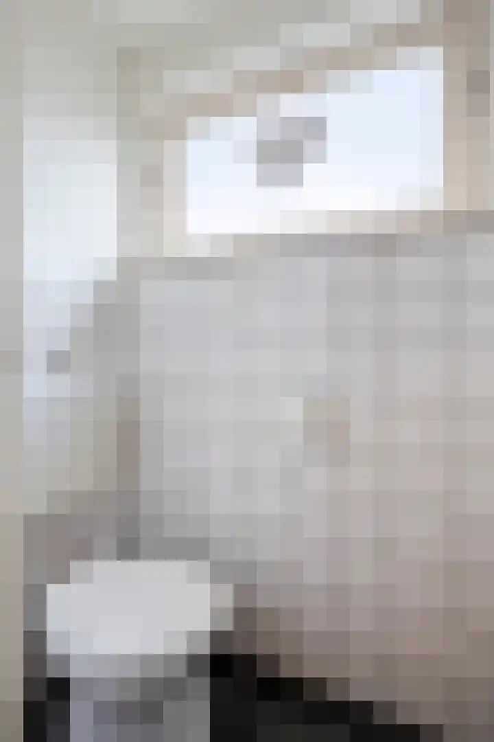 Woeringenstraat 12 Stein thumbnail 9
