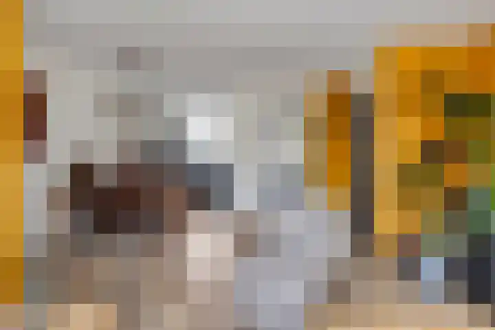 Woert 13 Haaksbergen thumbnail 10